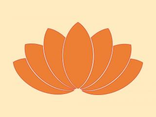 Png Free Download Vector Lotus PNG images