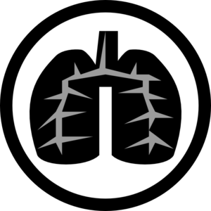 Damage, Lungs, Organ, Smoke, Smoking Icon PNG images