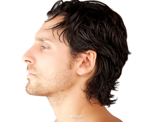 Free Men Hairstyle Images Download Png PNG images