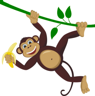 Monkey PNG, Monkey Transparent Background - FreeIconsPNG