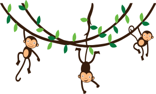 Monkey Cartoon png download - 900*1252 - Free Transparent Roronoa Zoro png  Download. - CleanPNG / KissPNG