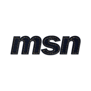 Msn Icon Free Png PNG images
