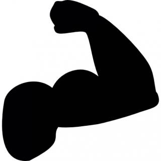 Pictures Icon Muscle PNG images