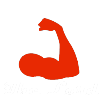 Muscle PNG Image, Free Download Muscles Pictures - Free Transparent PNG  Logos