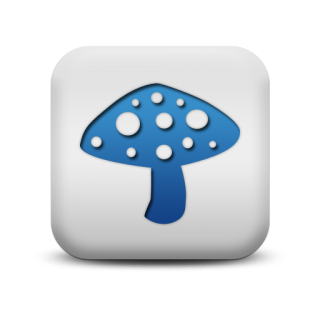 Mushroom Photos Icon PNG images