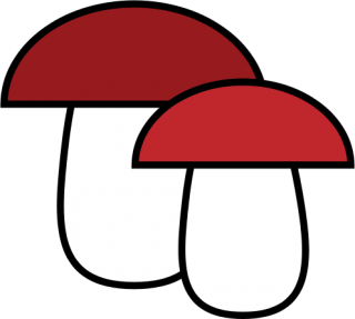 Png Vector Mushroom PNG images