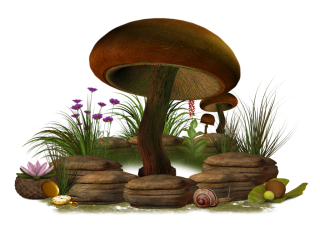 Cute Mushroom PNG, Vector, PSD, and Clipart With Transparent Background for  Free Download