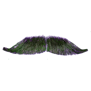 Real Mustache Png PNG images
