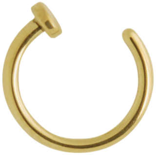 Transparent PNG Nostril Image PNG images