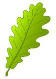 Png Icon Oak Tree PNG images