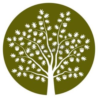 Oak Tree Vector Icon PNG images