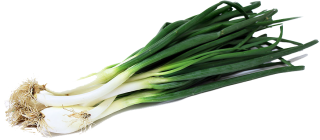 Fresh Onion Png PNG images