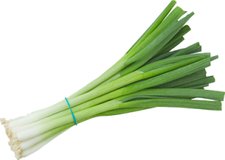 Green Fresh Onion Png PNG images