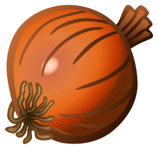 Onion Clipart PNG images