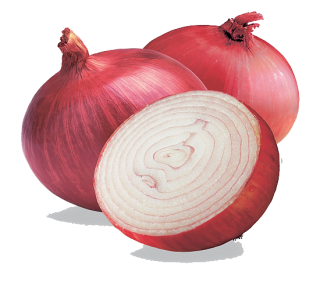 Picture Download Onion PNG images