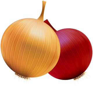 Free Download Of Onion Icon Clipart PNG images