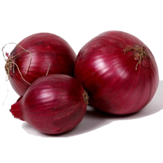Onion Vector Png PNG images