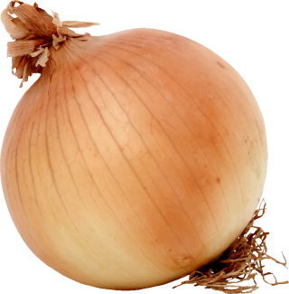 Download Free Onion Images PNG images
