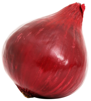 Picture Download Onion PNG images