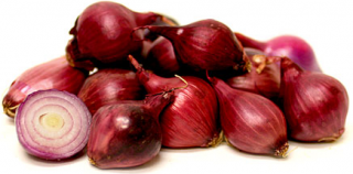 Get Onion Png Pictures PNG images