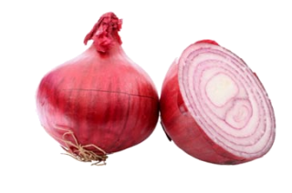 Best Free Onion Png Image PNG images