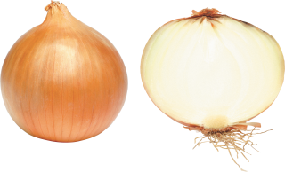 Download Onion Latest Version 2018 PNG images