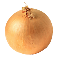 Background Onion PNG images