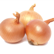 Onion Download Icon PNG images