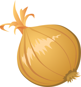Onion Png Clipart PNG images