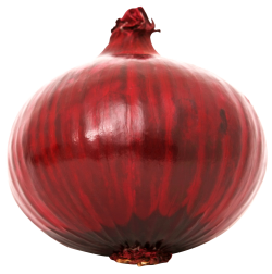 Red Onion Png PNG images