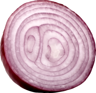 Slice Onion Png PNG images