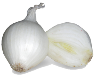 White Onion Png PNG images
