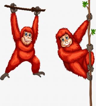 Orangutan Symbol Images PNG images