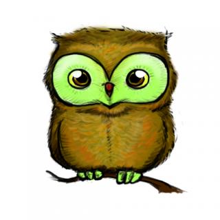Owl Free Vector PNG images
