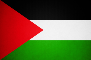 Free Download Palestine Flag Png Images PNG images