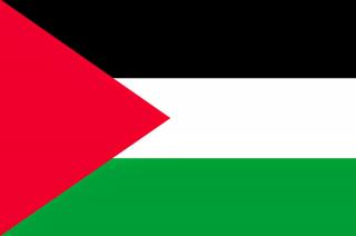 Photo PNG Palestine Flag PNG images