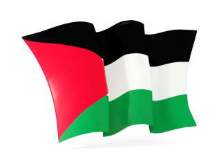 Palestine Flag PNG, Palestine Flag Transparent Background - FreeIconsPNG