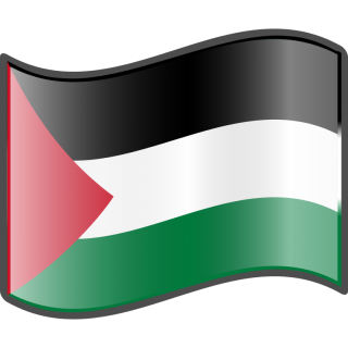 Wave, Palestinian, Palestine Flag Png PNG images