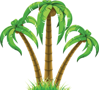 Transparent Background Palm Tree PNG images