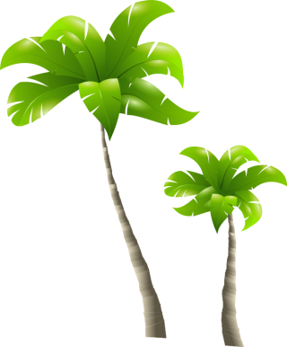Palm Tree PNG, Palm Tree Transparent Background - FreeIconsPNG