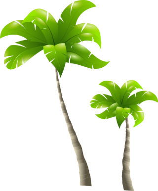 palm tree vector png