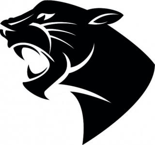 Panther Icons No Attribution PNG images