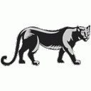 Icon Vector Panther PNG images