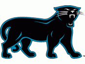 Panther Png Vector PNG images