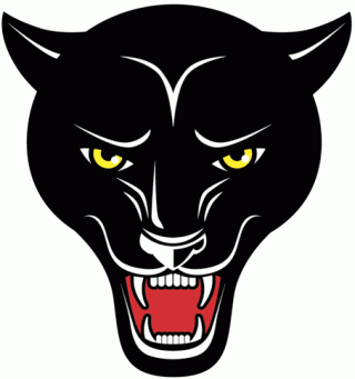 Icon Download Free Vectors Panther PNG images