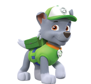 Paw Patrol Rocky Nick Asia Png PNG images