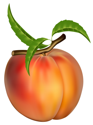 Peach Clip Art Images PNG images