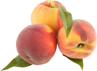 Clipart PNG Peaches PNG images