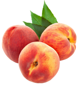 Peach Image Png PNG images