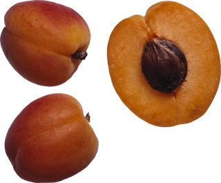 Peach PNG Transparent Image PNG images